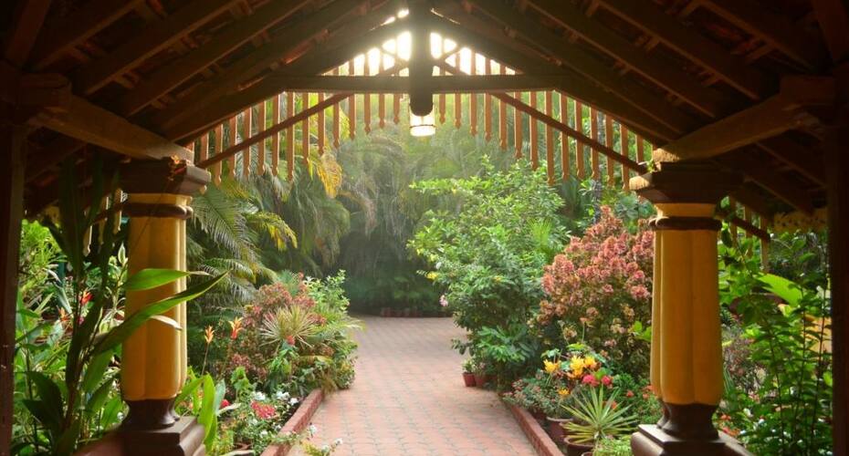 Palm Grove Cottages, Goa 5